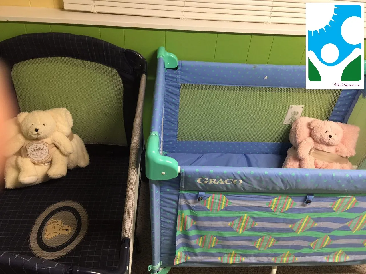 Late morning play, February 2017